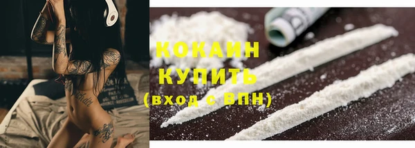 МДПВ Богородицк