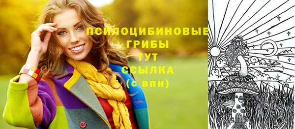 МДПВ Богородицк