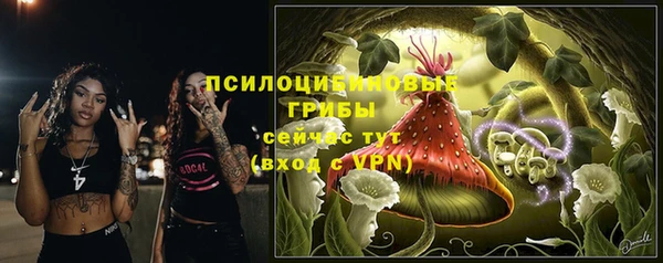 МДПВ Богородицк