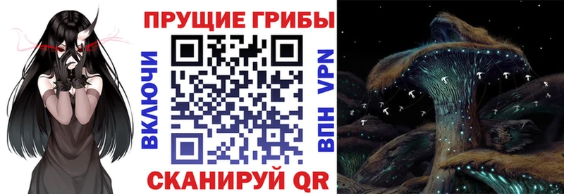 Псилоцибиновые грибы ЛСД  hydra зеркало  Малая Вишера 